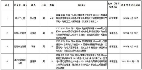 河南交通事故赔偿，法律解读与案例分析