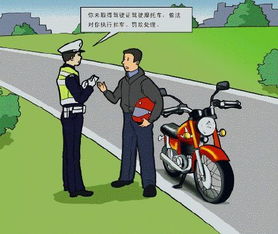 开车上天桥，一个关于交通规则和法律责任的警示故事