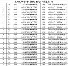 道路安全，生命线，深入解析交通法律法规的重要性
