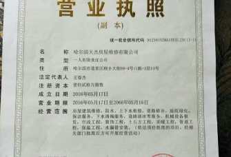 探秘营业执照，成本与价值的平衡艺术