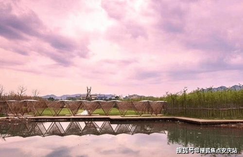 紧急时刻的守护者，了解交警电话的重要性