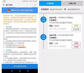 聊城市交通违章查询，如何高效查询与处理违章信息