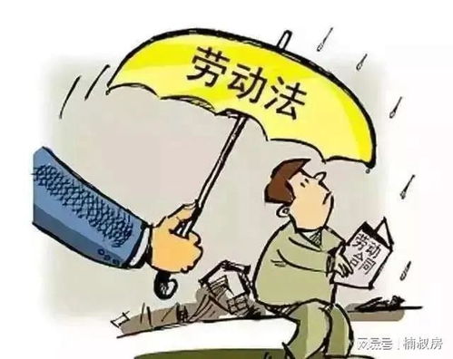深入了解人身损害赔偿法，权利保护与责任承担