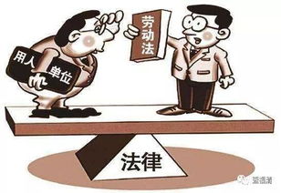 法律维权指南，如何高效打官司