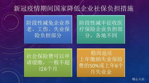 掌握您的权益，上海社会保险查询指南
