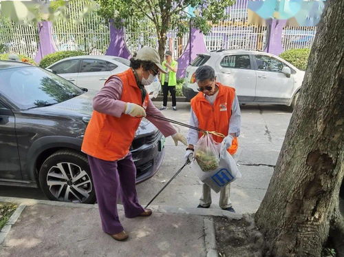 人才市场管理规定，构建公平竞争的职场环境