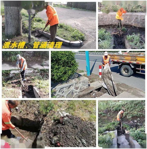 人才市场管理规定，构建公平竞争的职场环境