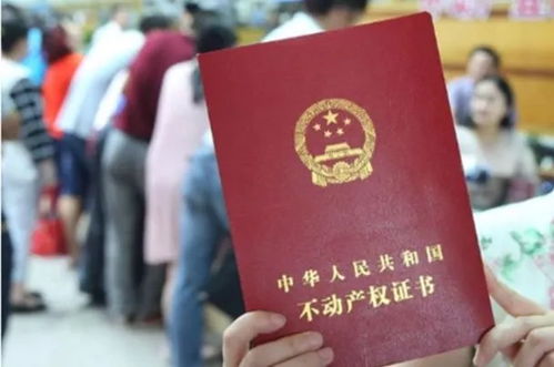 婚前房产证上加名字，爱情与财产的平衡艺术