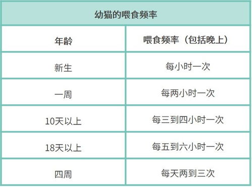 轻松办理出生公证，一份详尽的指南