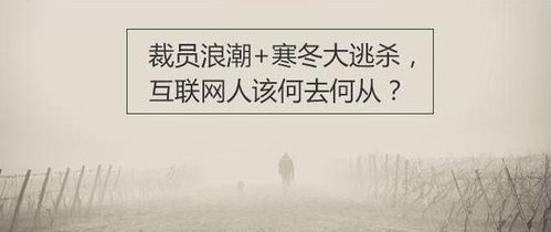 当告别成为必然，理解辞退员工补偿的艺术与科学