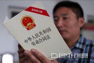 劳动法实施细则，保障劳动者权益的法律盾牌
