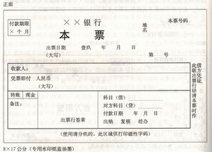 支票填写全攻略，日期填写的秘诀与注意事项