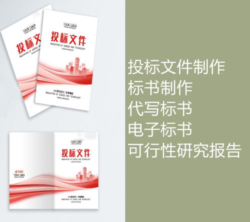 如何制作一份成功的标书，步骤、技巧与实用建议