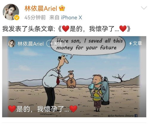 迎接新生命，怀孕旅程中的爱与责任