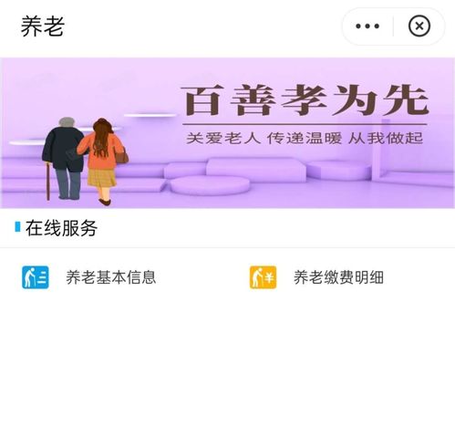 沈阳养老保险个人账户查询，掌握您的未来，从了解开始
