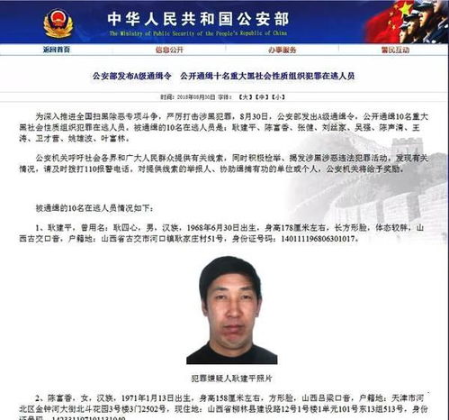 追捕逃犯，河南在逃通缉犯名单背后的故事