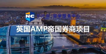 证券公司，金融世界的桥梁