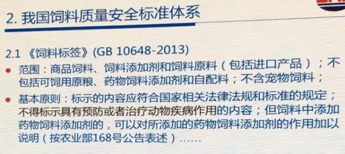 深入解析建筑安全法规，保障工程安全与质量的关键