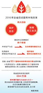 自收自支事业单位，财政改革下的创新与挑战