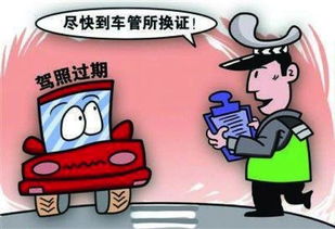 防卫过当，法律的界限与道德的考量