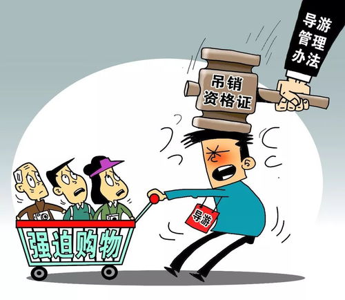 深入了解交通违章新规定，规则、影响与应对策略