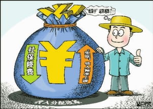 工资改革最新消息，让钱袋子更鼓，生活更美好