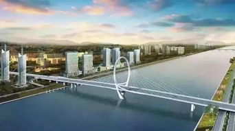 上海动迁网，城市更新的桥梁与纽带