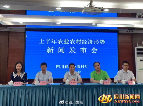 四川省物价局，监管与服务并重，保障民生与经济发展