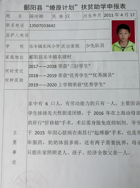 二胎申请书，家庭新成员的期待与准备
