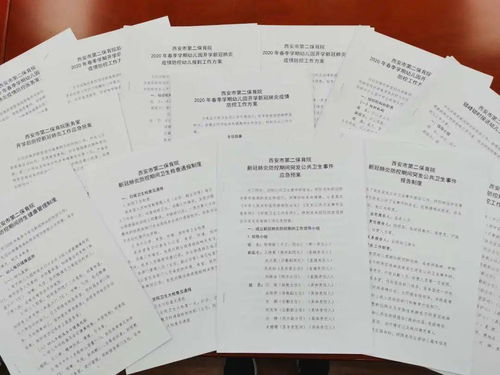 二胎申请书，家庭新成员的期待与准备