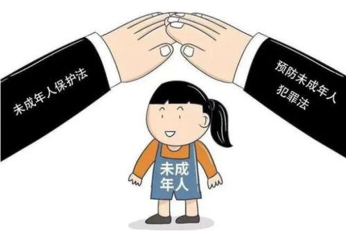 深入理解故意伤害罪，法律判罚与预防