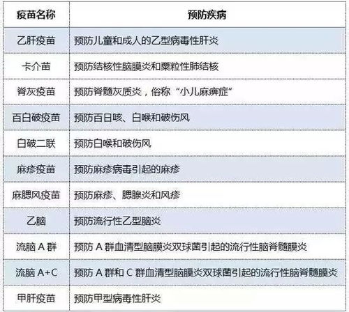 深圳法定婚假政策解读，天数、规定与实施细节