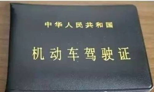 深圳市居住证申请全攻略，详细步骤与实用指南