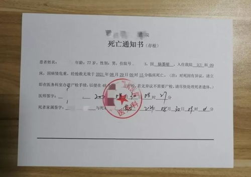 揭开疾病证明书的神秘面纱，它的重要性、获取流程及常见误区