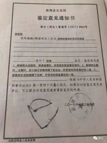 取保候审，法律中的自由桥梁