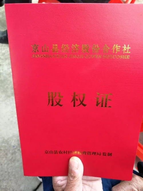 深入理解所有权的权能，权利与责任的平衡艺术