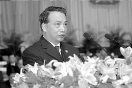 深入理解最高人民检察院检察长的角色与职责