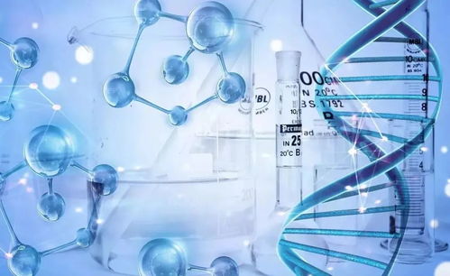 揭开DNA鉴定的神秘面纱，科学、伦理与实践指南