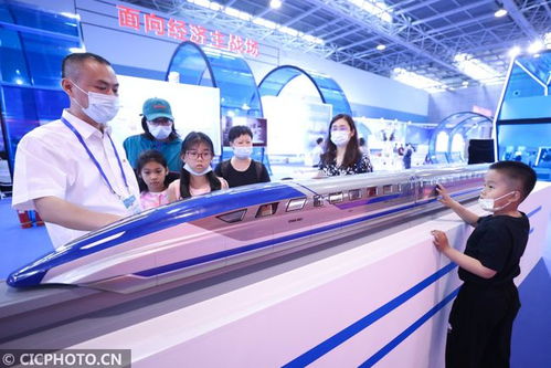 揭开DNA鉴定的神秘面纱，科学、伦理与实践指南