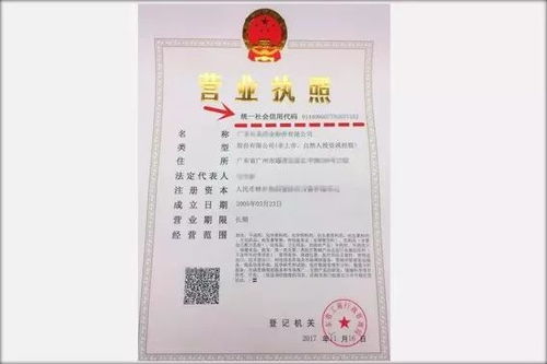 简化流程，深入了解营业执照延期申请的步骤与要点