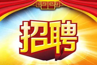 国营企业招聘，机遇、挑战与准备
