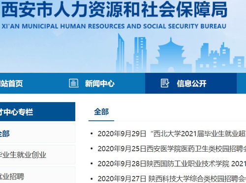 深入了解4050社保补贴，政策解读与申请指南