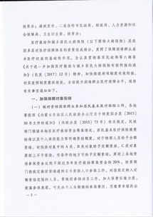 生命之桥，医疗救助申请书的指南与力量