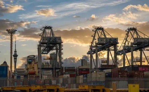 全球贸易的挑战，世贸组织员工感染事件的深度解析与应对策略