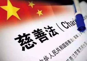 深入理解基金会管理条例，构建慈善事业的法律框架