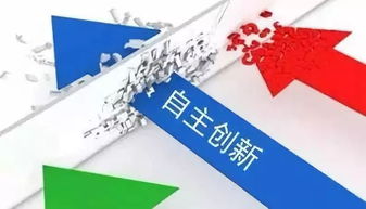 集体企业改制，转型之路与机遇之门