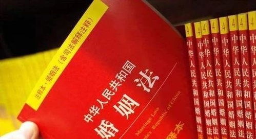 关于离婚的法律咨询，深入理解与实用指南