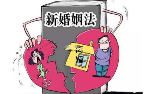 关于离婚的法律咨询，深入理解与实用指南