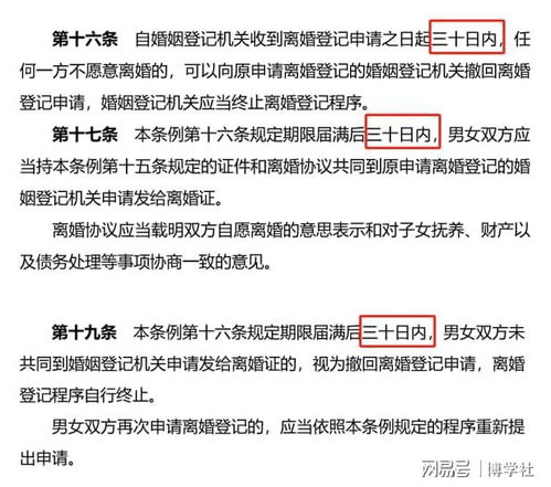 爱情与法律的交汇，民政局婚姻登记的全解析