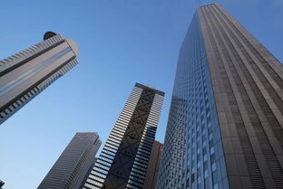 德阳房屋出租市场深度解析，投资与居住的双重价值